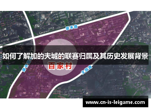 如何了解加的夫城的联赛归属及其历史发展背景